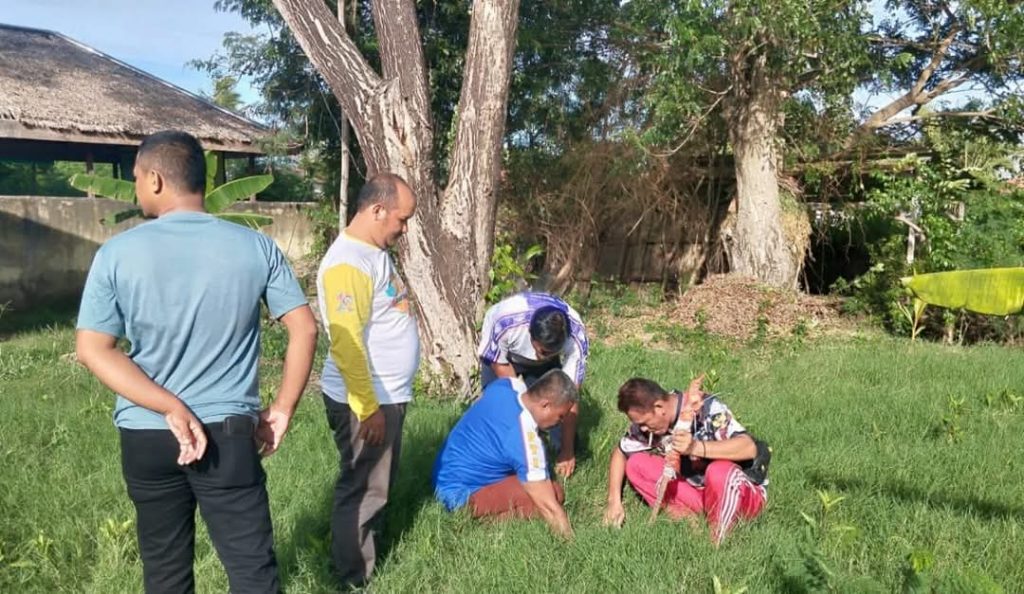Tanam Pohon Buah Mangga di 25 Kantor OPD, Jadi Inovasi Satpol-PP Pohuwato Bersama Damkar