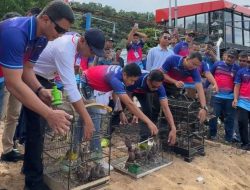 Pelepasliaran Penyu dan Burung Maleo di Tolitoli, Wujud Kepedulian Lingkungan Pertamina Sulawesi