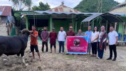 Rayakan Idul Adha 2026, Citimal Gorontalo Bagikan Hewan Qurban Untuk Masyarakat Sekitar