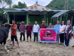 Rayakan Idul Adha 2026, Citimal Gorontalo Bagikan Hewan Qurban Untuk Masyarakat Sekitar