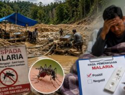 Tambang Alamotu Diduga Jadi Sumber Penularan Malaria, Delapan Warga Terdampak