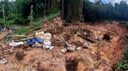 Karpet Merah Tambang Emas Ilegal di Hutan Desa Hulawa, Polisi Terkesan Tutup Mata