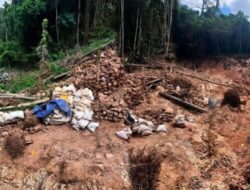 Karpet Merah Tambang Emas Ilegal di Hutan Desa Hulawa, Polisi Terkesan Tutup Mata