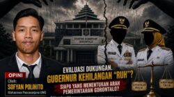 Ketika Wakil Gubernur Kehilangan “Ruh” dalam Pemerintahan