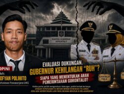 Ketika Wakil Gubernur Kehilangan “Ruh” dalam Pemerintahan